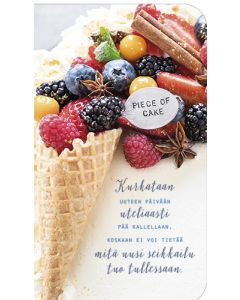 2-os kortti Ilona Pietiläinen