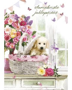 Postikortti onnittelu