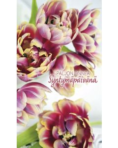 2-osainen syntymäpäiväkortti