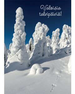 Postikortti talvi
