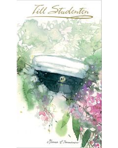 2-osainen rahakuorikortti ylioppilas ruotsinkielinen Minna Immonen