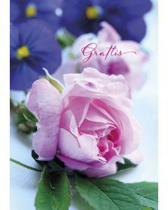 Postikortti onnittelu ruotsinkielinen