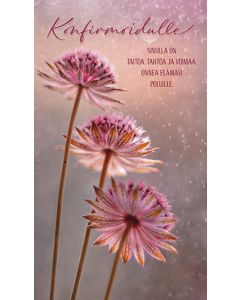 2-osainen rippikortti