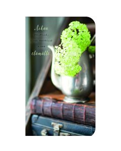 2-os kortti Ilona Pietiläinen