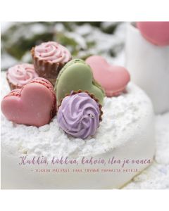 2-os neliökortti Ilona Pietiläinen