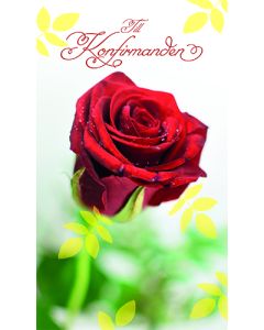 2-os rippi R setelitasku