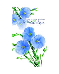 2-os syntymäpäivä R