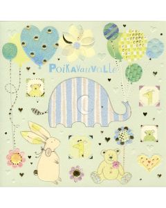 2-os Turnowsky vauva poika neliö