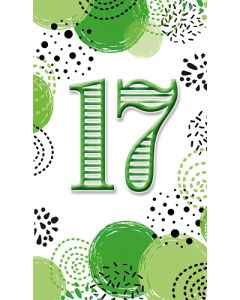 2-os vuosikortti 17v