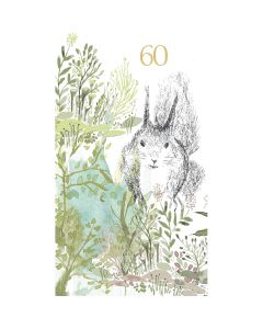 2-os vuosikortti 60v Merja Palin