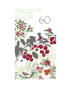 2-os vuosikortti 60v Merja Palin