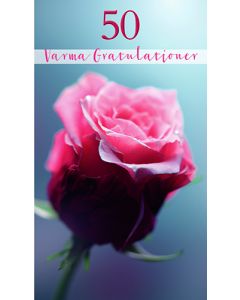 2-os vuosikortti R 50v