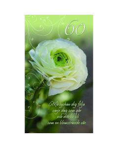 2-os vuosikortti R 60v