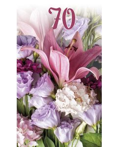 2-os vuosikortti R 70v