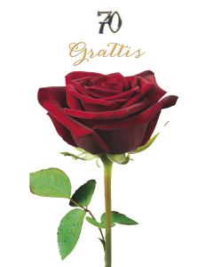 2-os vuosikortti R 70v kohonumero