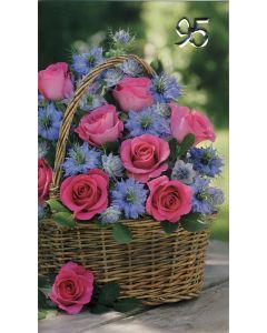 2-os vuosikortti R 95v kohonumero