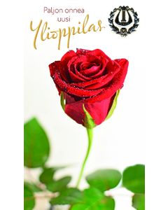 2-os Ylioppilas foliolyyra