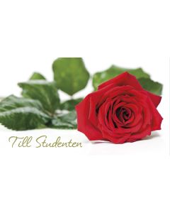 2-osainen Ylioppilas setelitaskukortti ruotsinkielinen