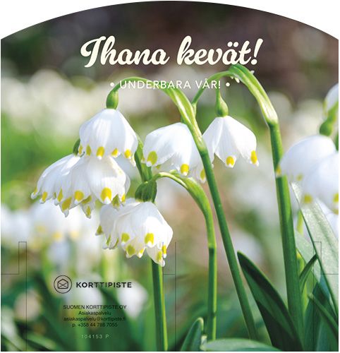 Hyrräopaste 2 lokero