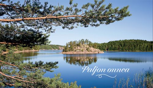 2-osainen setelitaskukortti