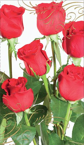 2-osainen setelitaskukortti