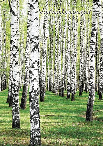 Postikortti kevät ruotsinkielinen