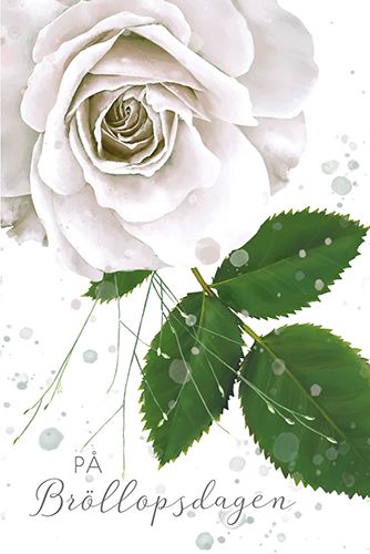 Pakettikortti hää ruotsinkielinen