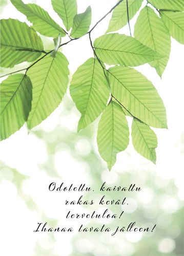 Postikortti kevät