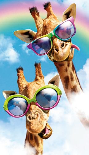 2-osainen hupikortti