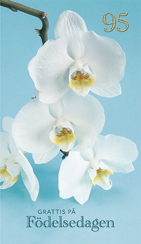 2-osainen onnittelukortti 95v ruotsinkielinen