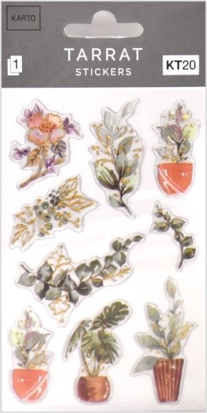 Erikoistarrapakkaus kasvit