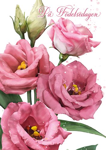 Postikortti ruotsinkielinen