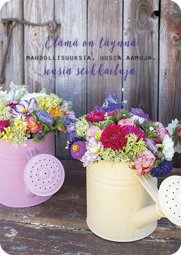 Postikortti Ilona Pietiläinen