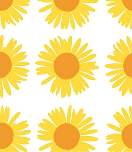 Lahjakassi M Marimekko