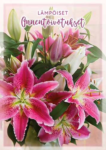 Postikortti onnittelu