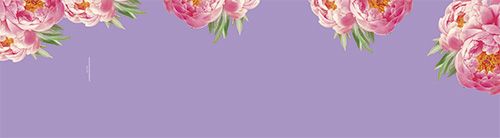 Telineopasteen tausta 120cm