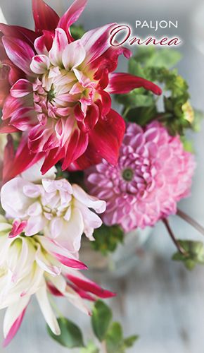 2-osainen onnittelukortti