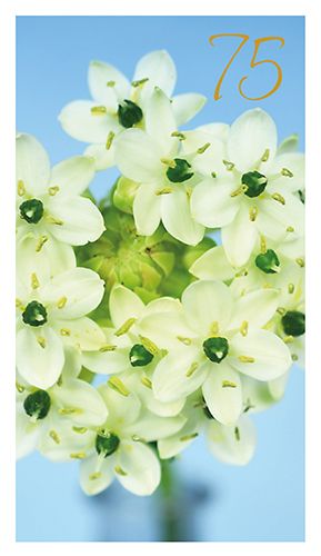 2-osainen onnittelu 75v