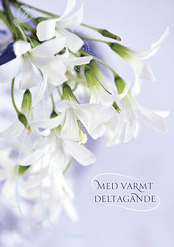 Suruadressi Sylva ruotsinkielinen