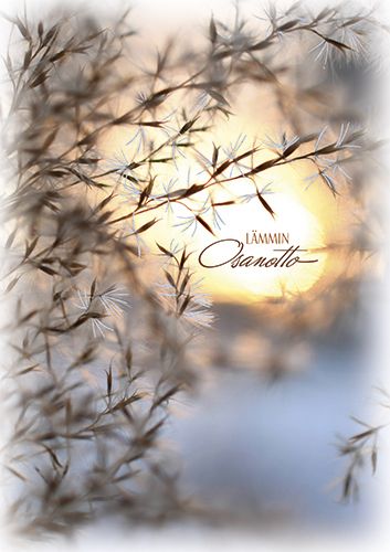 Suruadressi Suomen Syöpäpotilaat