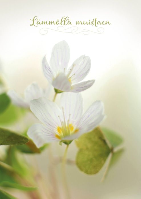 Suruadressi Suomen luonnonsuojeluliitto