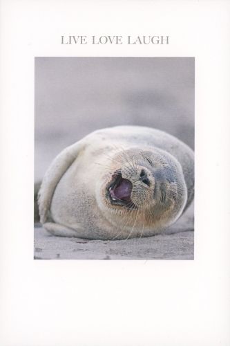 2-osainen kortti englanninkielinen