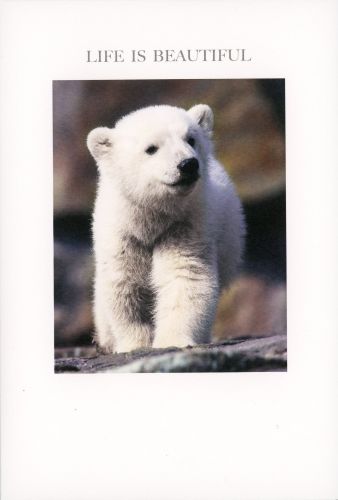 2-osainen kortti englanninkielinen