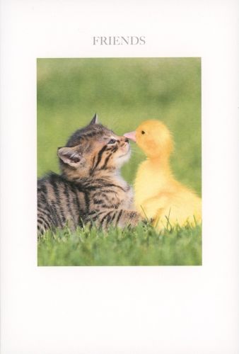 2-osainen kortti englanninkielinen