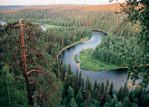 Postikortti matkailu