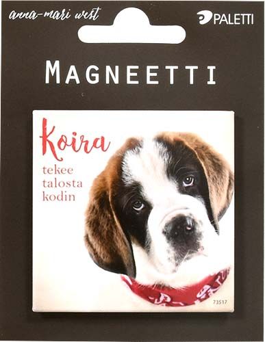 Magneetti