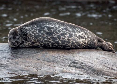 Postikortti matkailu