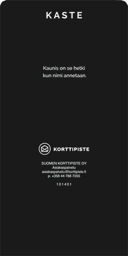 Riviopaste 1 lokero Kaste