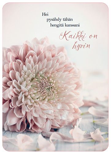 Postikortti Anna-Mari West