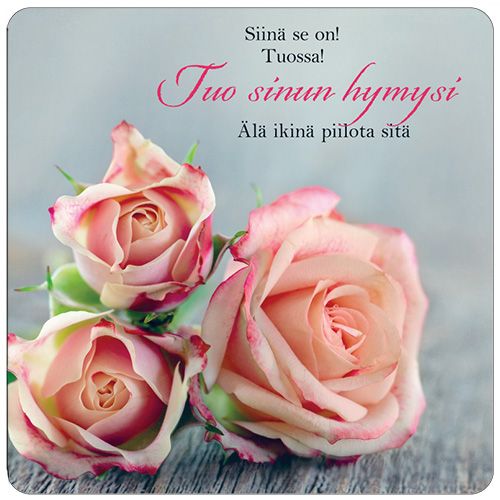 2-osainen neliökortti Anna-Mari West